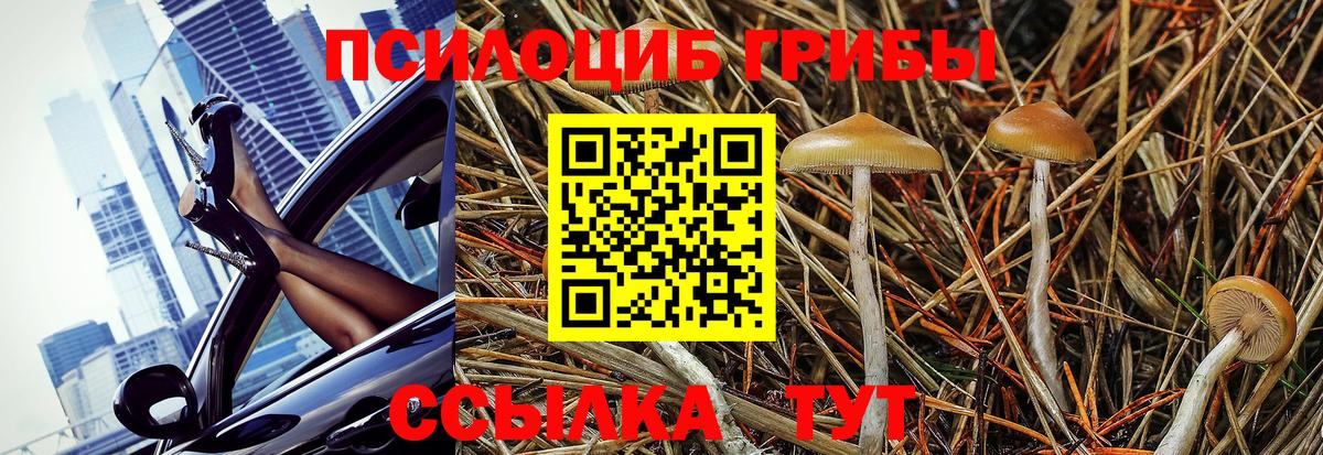 Псилоцибиновые грибы MAGIC MUSHROOMS Черногорск