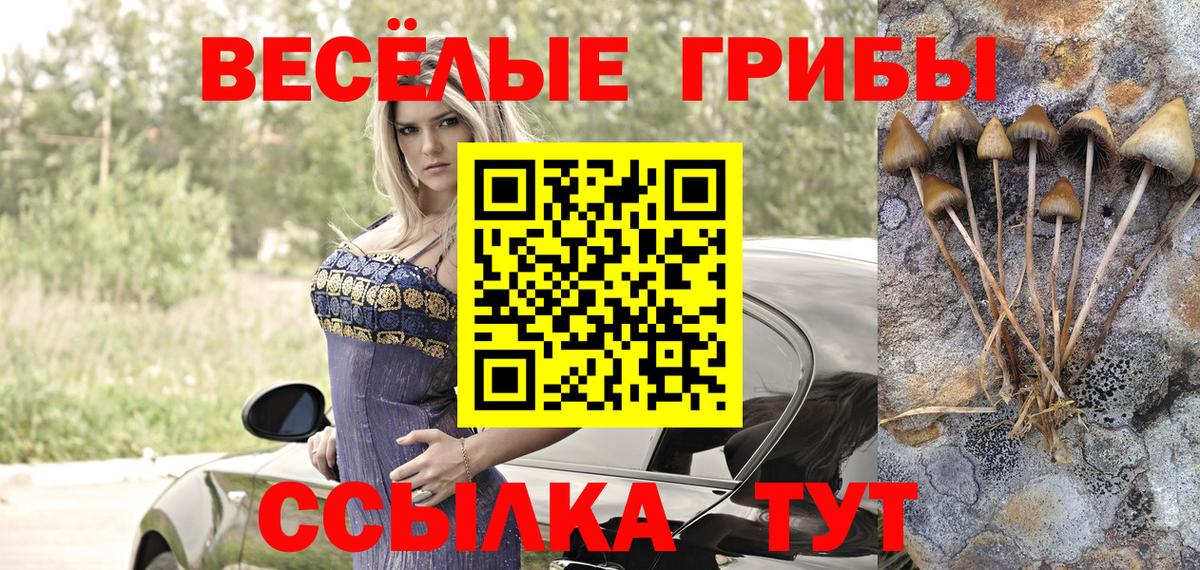 Черногорск  Псилоцибиновые грибы мицелий  Вход с VPN 
